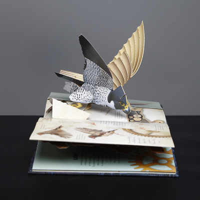 eagle shape pop up book