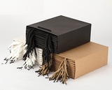 paper bag with nylon rope