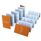 flyer &nbsp;or fold flyer