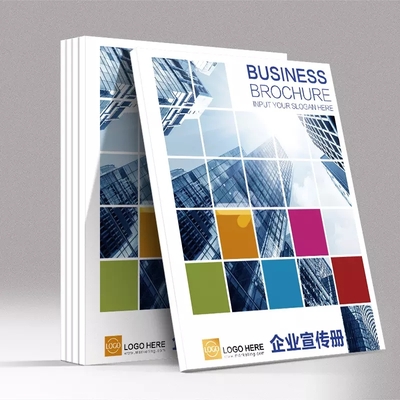 manual &nbsp;or instruction book